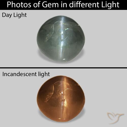 0.53ct Vert chaud Cat's Eye Alexandrite, Tour, Opaque