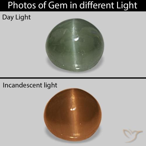 0.59ct Vert moyen Cat's Eye Alexandrite, ovale, Opaque