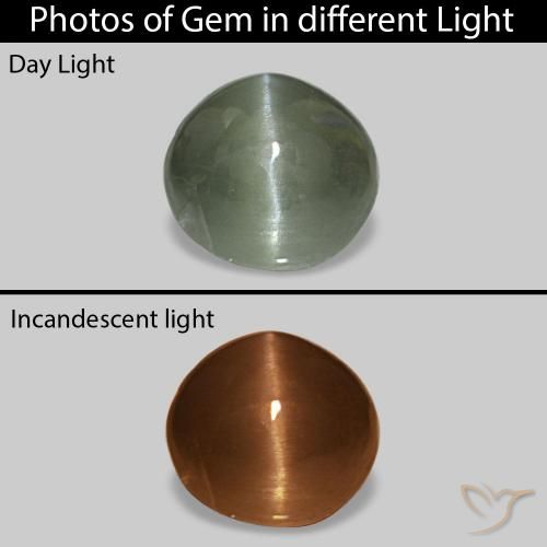 Cat's Eye Alexandrite Vert moyen naturelle ovale, 0.54 ct, Opaque