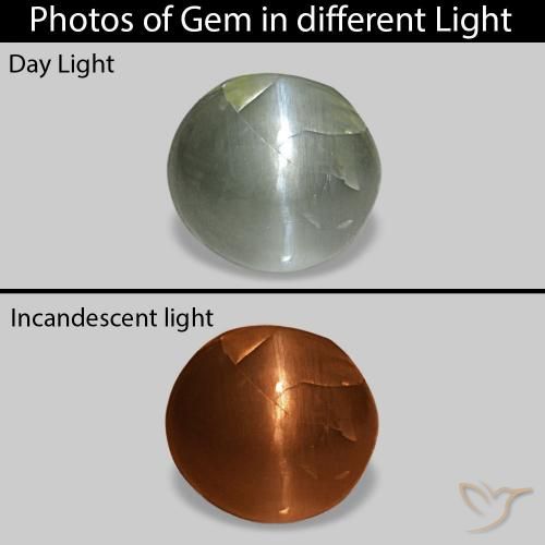 0.51ct Gris vert Cat's Eye Alexandrite, ovale, Opaque