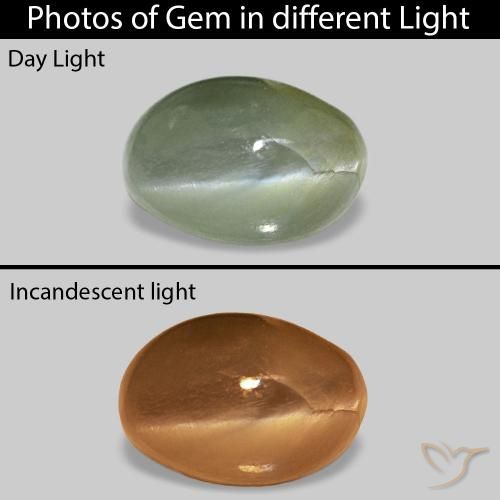 Cat's Eye Alexandrite Vert moyen naturelle ovale, 0.62 ct, Opaque