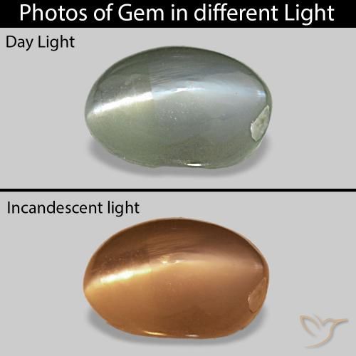 Cat's Eye Alexandrite Vert moyen naturelle ovale, 0.71 ct, Opaque