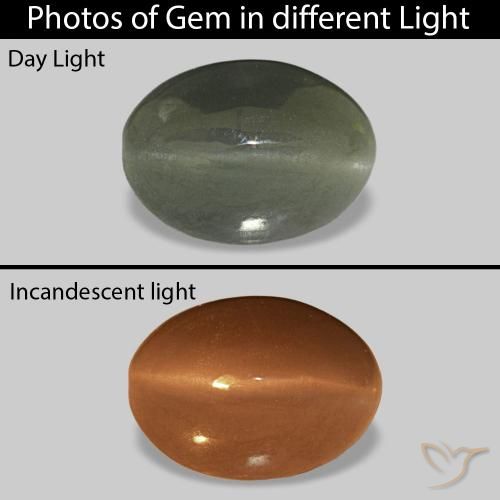 0.61ct Vert moyen Cat's Eye Alexandrite, ovale, Opaque