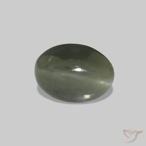 Cat's Eye Alexandrite Vert moyen naturelle ovale, 0.61 ct, Opaque