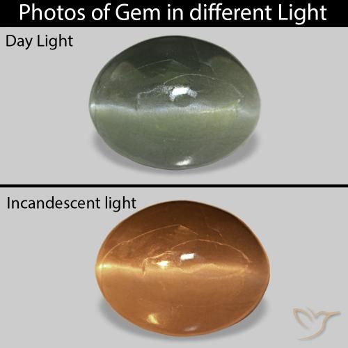 Cat's Eye Alexandrite Vert forêt pâle naturelle ovale, 0.62 ct, Opaque