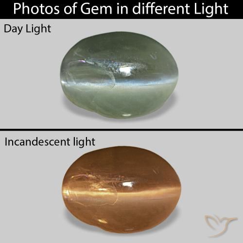 Cat's Eye Alexandrite Vert moyen naturelle ovale, 0.68 ct, Opaque