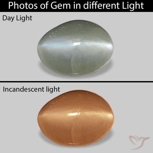 Cat's Eye Alexandrite Vert moyen naturelle ovale, 0.40 ct, Opaque