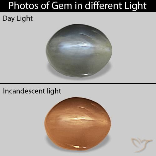 Cat's Eye Alexandrite Gris moyen naturelle ovale, 0.72 ct, Opaque