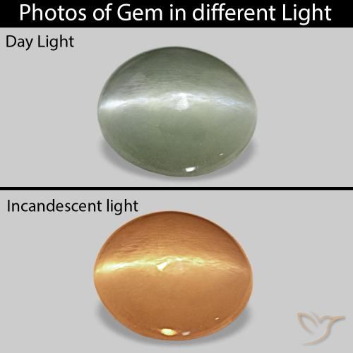 Cat's Eye Alexandrite Vert moyen naturelle ovale, 0.56 ct, Opaque