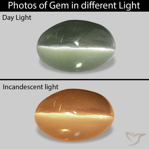 Cat's Eye Alexandrite Gris vert naturelle ovale, 0.73 ct, Opaque