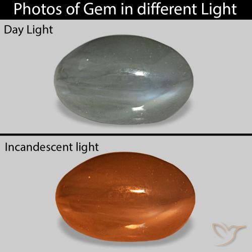 Cat's Eye Alexandrite Gris moyen naturelle ovale, 0.92 ct, Opaque