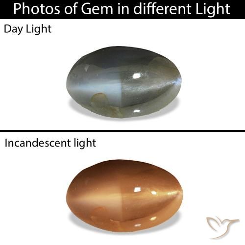 Cat's Eye Alexandrite Gris verdâtre pâle naturelle ovale, 0.51 ct, Opaque