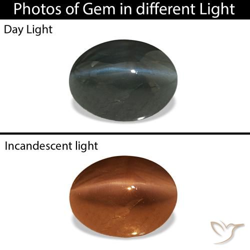 Cat's Eye Alexandrite Gris acier naturelle ovale, 0.96 ct, Opaque