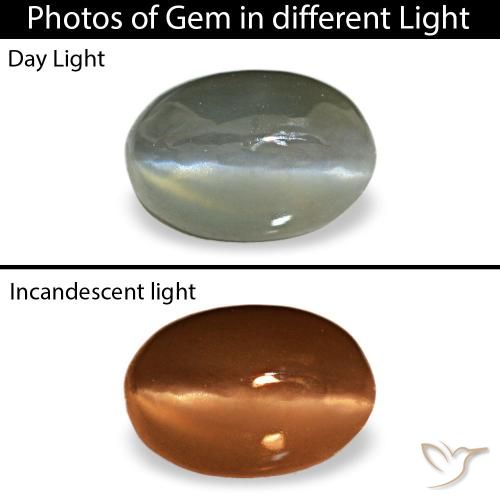 Cat's eye alexandrite gris naturelle coupe ovale, 0,50 ct, opaque