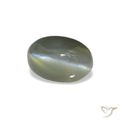 Cat's eye alexandrite gris naturelle coupe ovale, 0,50 ct, opaque