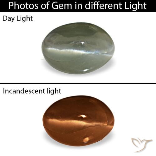 Cat's eye alexandrite gris naturelle coupe ovale, 0,49 ct, opaque