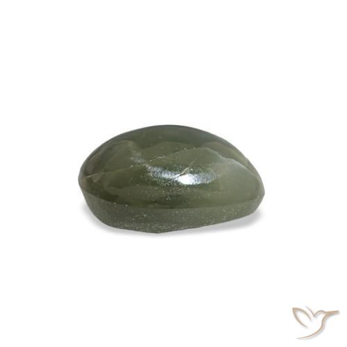 Cat's eye alexandrite gris naturelle coupe ovale, 0,49 ct, opaque