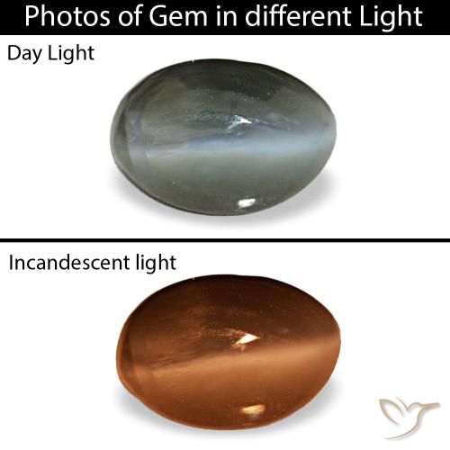 Cat's eye alexandrite gris naturelle coupe ovale, 0,56 ct, opaque