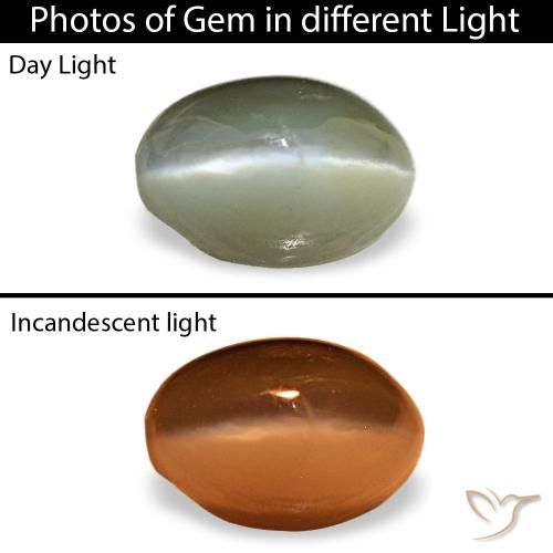 Cat's eye alexandrite vert naturelle coupe ovale, 0,59 ct, opaque