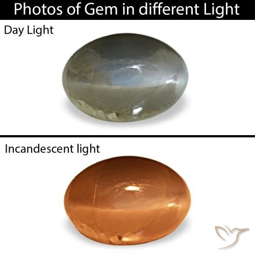 Cat's eye alexandrite vert naturelle coupe ovale, 0,51 ct, opaque