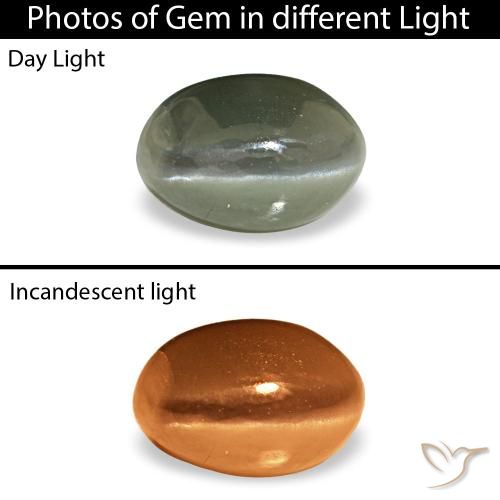 Cat's eye alexandrite vert naturelle coupe ovale, 0,53 ct, opaque