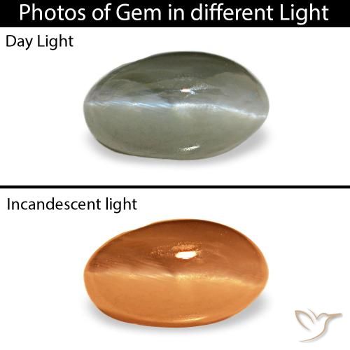 Cat's eye alexandrite vert naturelle coupe ovale, 0,50 ct, opaque