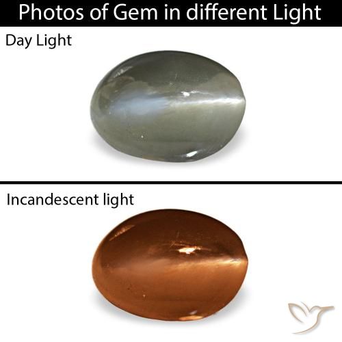 Cat's eye alexandrite vert naturelle coupe ovale, 0,54 ct, opaque