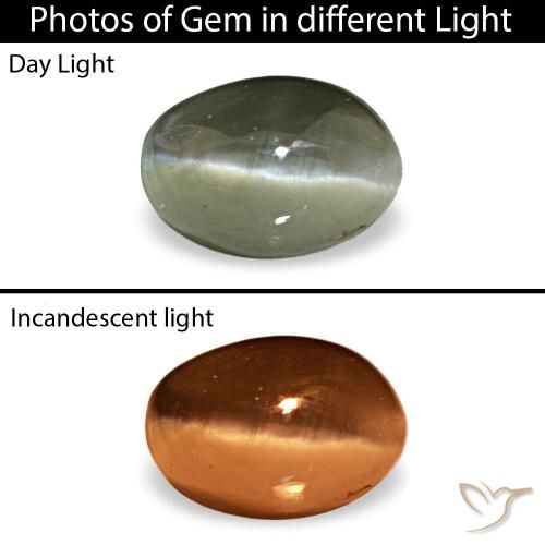 Cat's eye alexandrite vert de 0,49 ct, ovale, opaque