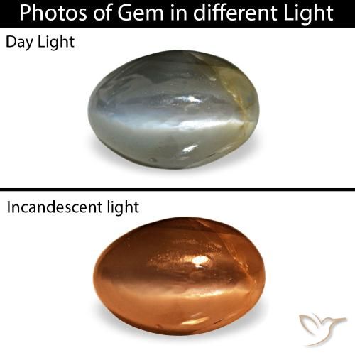Cat's eye alexandrite vert naturelle coupe ovale, 0,52 ct, opaque