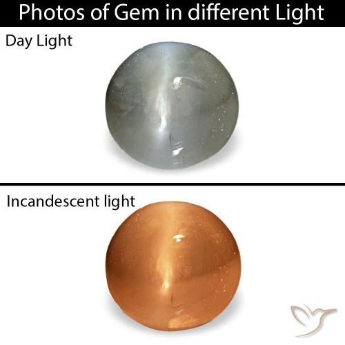 Cat's eye alexandrite gris naturelle coupe ovale, 0,51 ct, opaque
