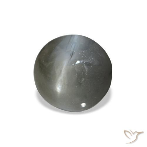 Cat's eye alexandrite gris naturelle coupe ovale, 0,51 ct, opaque