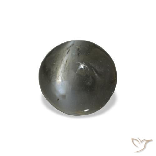Cat's eye alexandrite gris naturelle coupe ovale, 0,47 ct, opaque