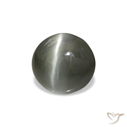 Cat's eye alexandrite gris naturelle coupe ovale, 0,42 ct, opaque
