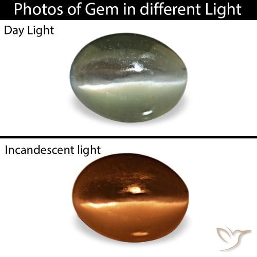Cat's eye alexandrite gris naturelle coupe ovale, 0,42 ct, opaque