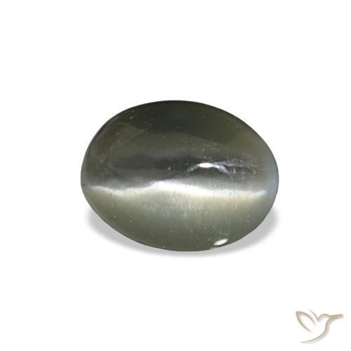 Cat's eye alexandrite gris naturelle coupe ovale, 0,42 ct, opaque