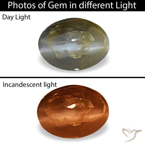 Cat's eye alexandrite gris naturelle coupe ovale, 0,48 ct, opaque