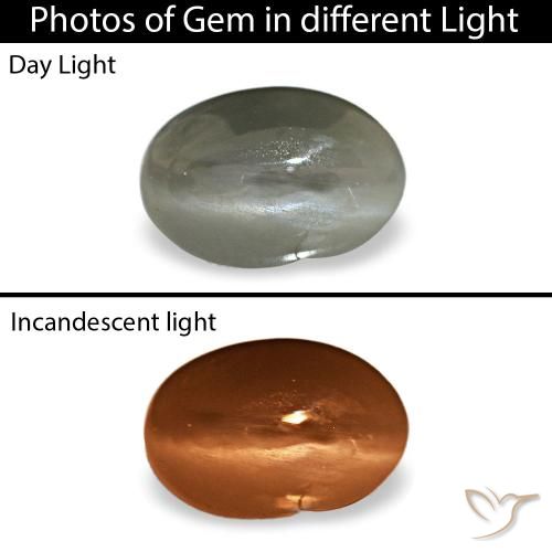 Cat's eye alexandrite gris naturelle coupe ovale, 0,35 ct, opaque