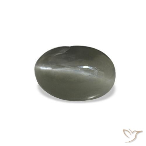 Cat's eye alexandrite gris naturelle coupe ovale, 0,35 ct, opaque