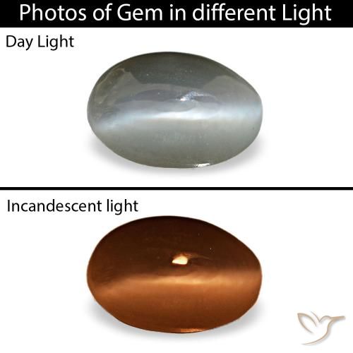 Cat's eye alexandrite gris de 0,33 ct, ovale, opaque