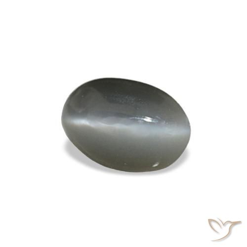 Cat's eye alexandrite gris naturelle coupe ovale, 0,33 ct, opaque