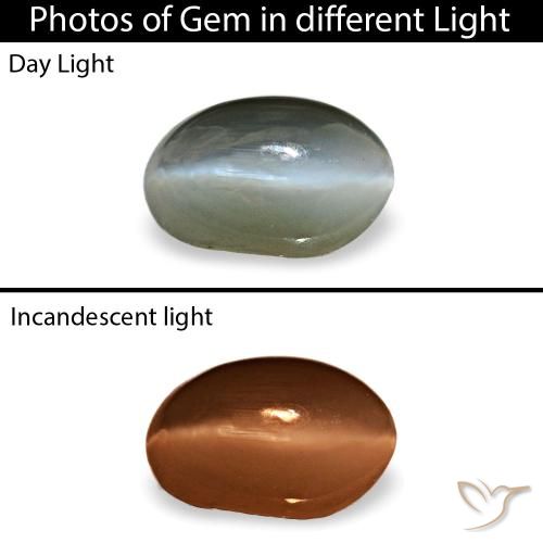 Cat's eye alexandrite gris naturelle coupe ovale, 0,40 ct, opaque