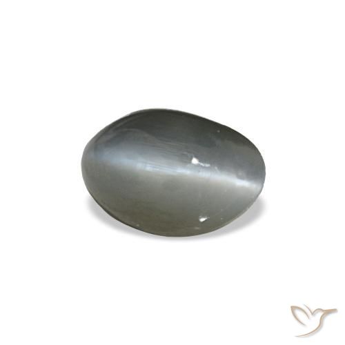 Cat's eye alexandrite gris naturelle coupe ovale, 0,40 ct, opaque