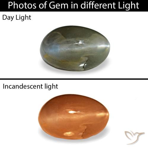 Cat's eye alexandrite gris naturelle coupe ovale, 0,46 ct, opaque