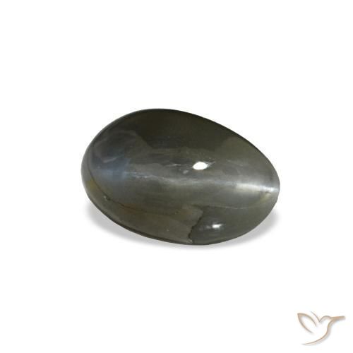Cat's eye alexandrite gris naturelle coupe ovale, 0,46 ct, opaque