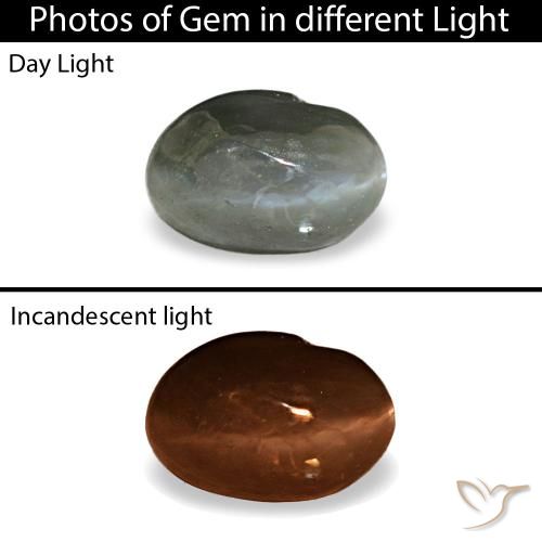 Cat's eye alexandrite gris de 0,41 ct, ovale, opaque