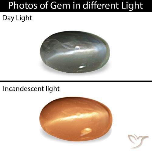 Cat's eye alexandrite gris de 0,43 ct, ovale, opaque