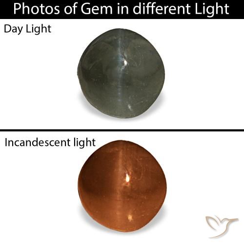Cat's eye alexandrite gris de 0,66 ct, rond, opaque
