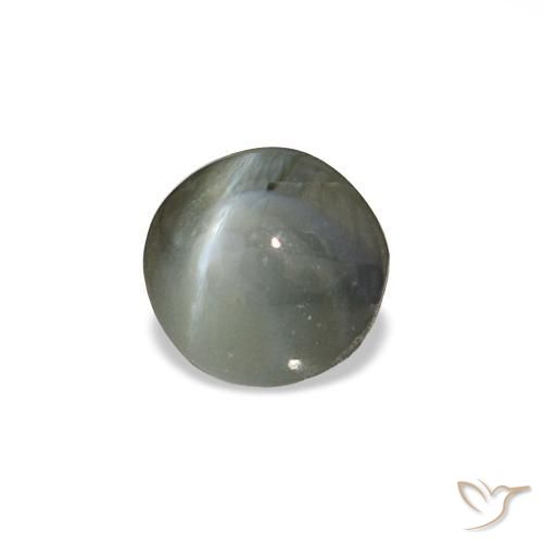Cat's eye alexandrite gris naturelle coupe roude, 0,85 ct, opaque
