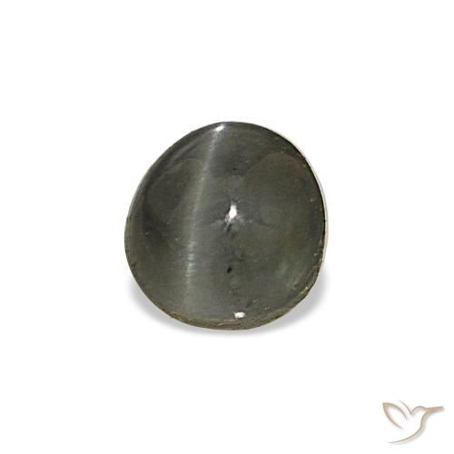 Cat's eye alexandrite gris naturelle coupe ovale, 0,80 ct, opaque