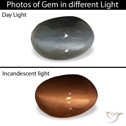 Cat's eye alexandrite gris naturelle coupe ovale, 0,45 ct, opaque